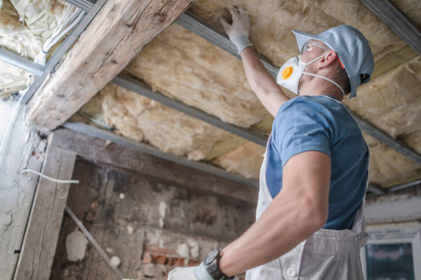 Types of Insulation We Offer in Alpine, TX